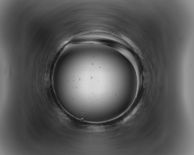 X0000085210977200703091135