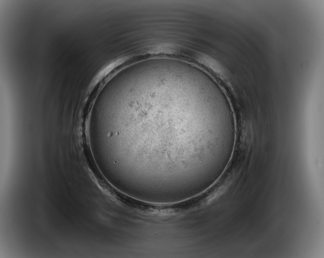 X0000085210978200703091135