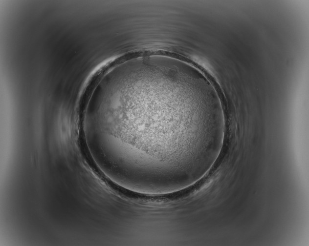 X0000085210979200703091135