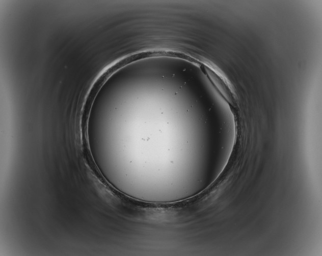 X0000085210980200703091135