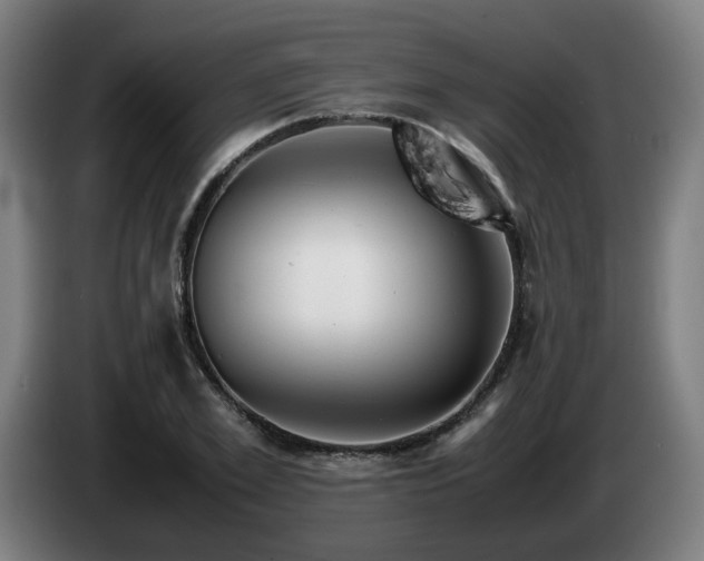 X0000085210981200703091135