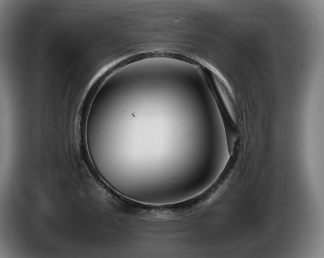 X0000085210983200703091135