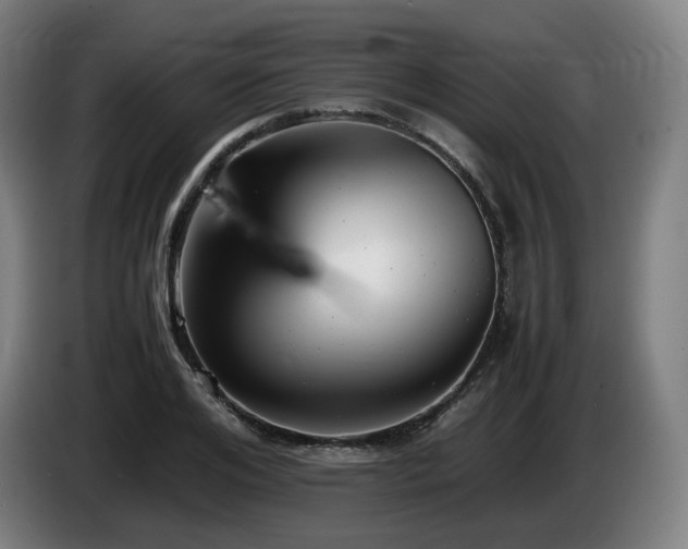 X0000085210984200703091135