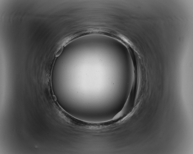 X0000085210985200703091135