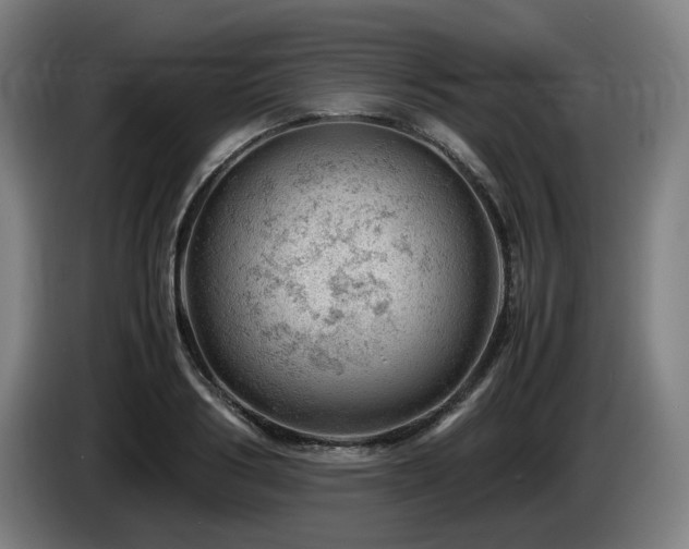 X0000085210986200703091135