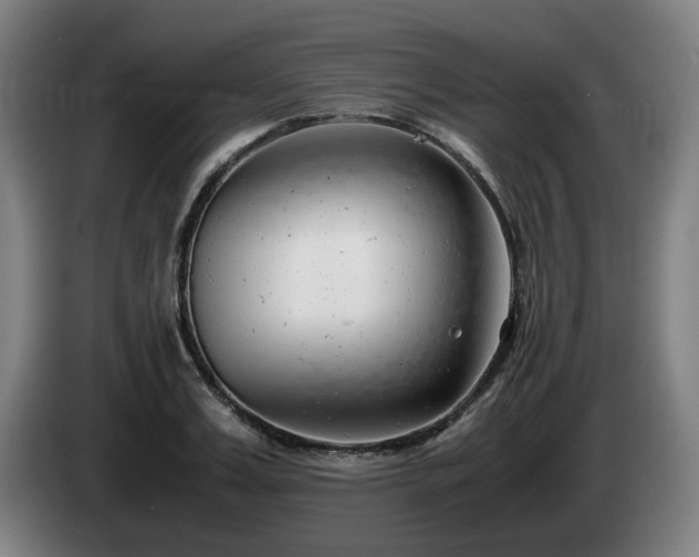 X0000085210987200703091135