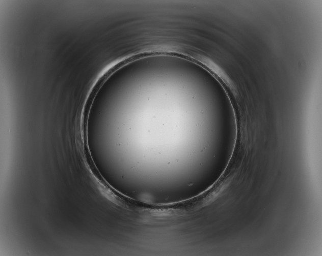 X0000085210988200703091135