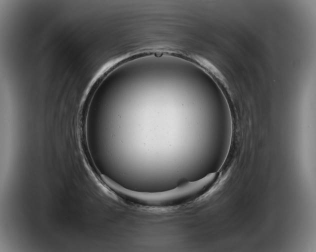 X0000085210989200703091135