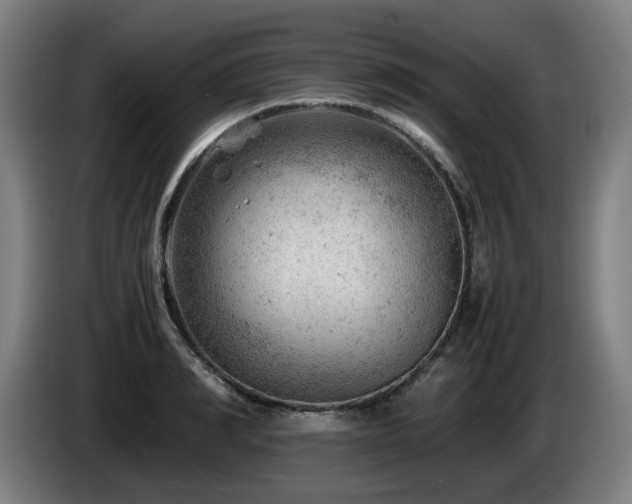 X0000085210990200703091135