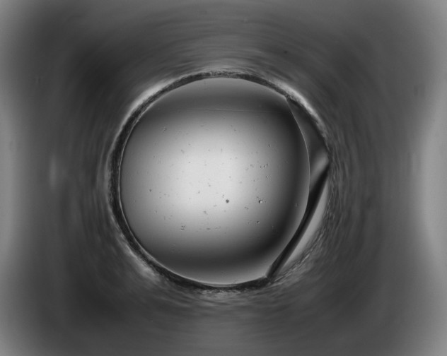 X0000085210991200703091135