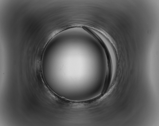 X0000085210993200703091135