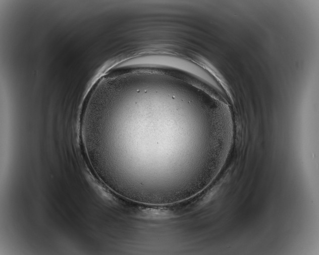X0000085210994200703091135