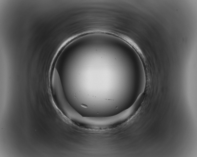 X0000085210996200703091135