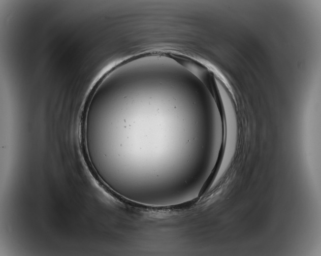 X0000085210999200703091135