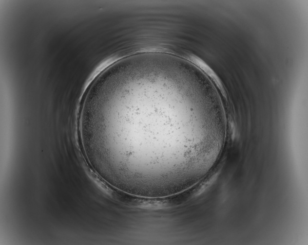 X0000085211002200703091135
