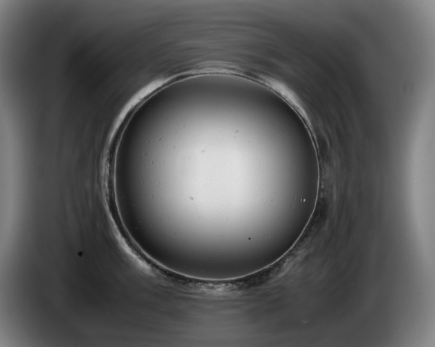 X0000085211003200703091135