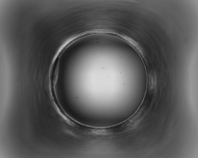 X0000085211006200703091135