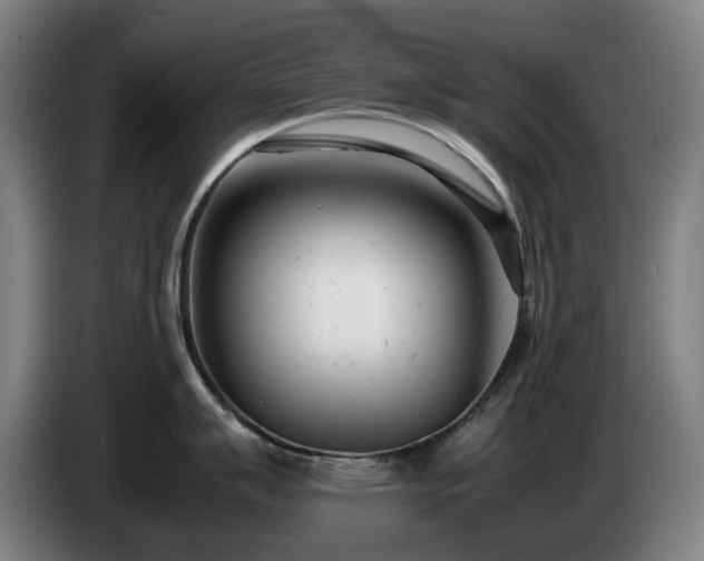 X0000085211007200703091135