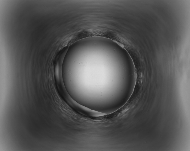 X0000085211010200703091134