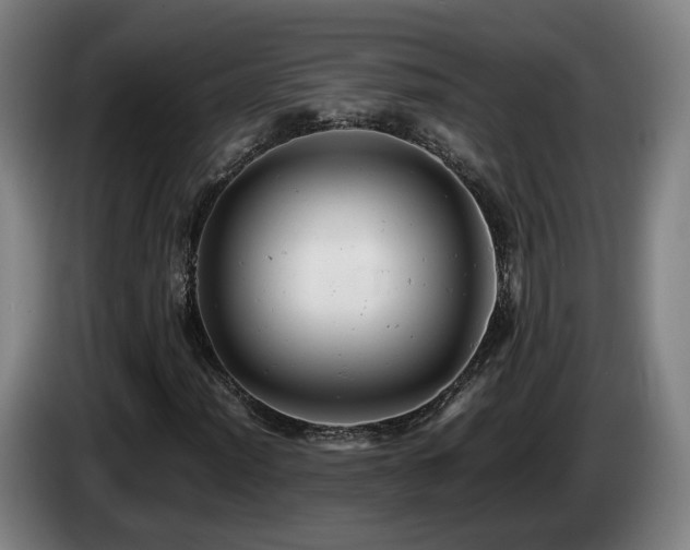 X0000085211012200703091134