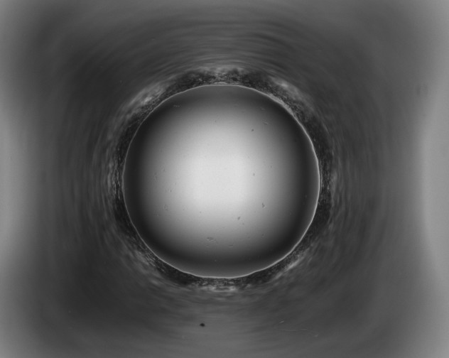 X0000085211014200703091134