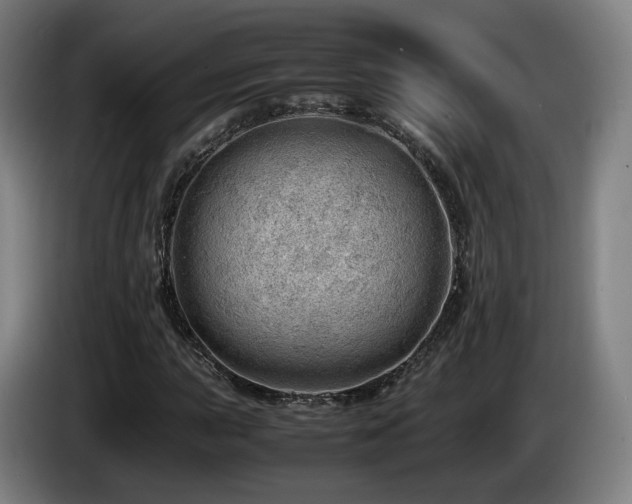 X0000085211015200703091134