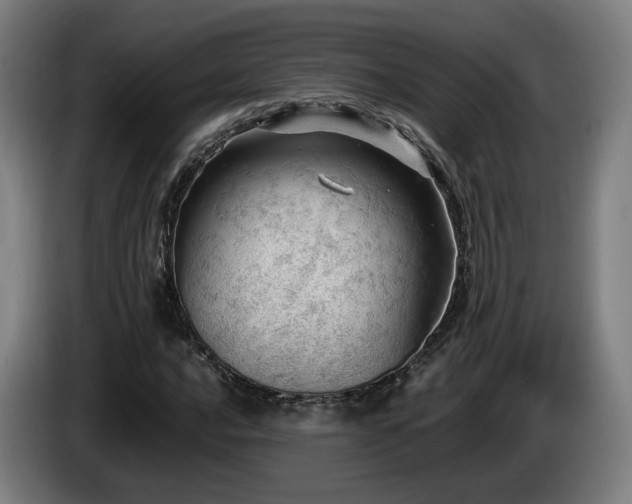 X0000085211016200703091134