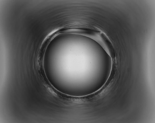X0000085211018200703091134