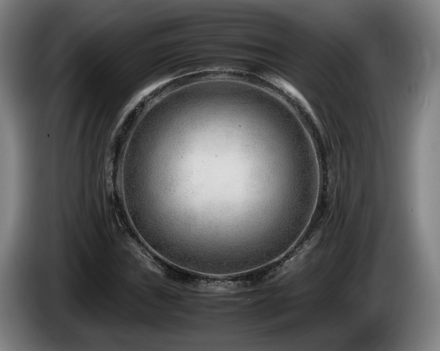 X0000085211019200703091134