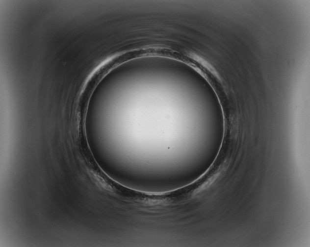 X0000085211021200703091134