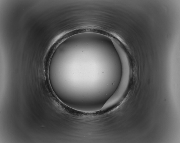X0000085211022200703091134