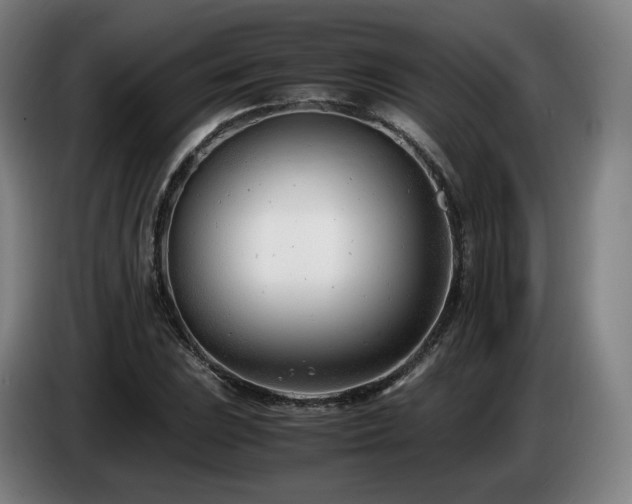 X0000085211023200703091134