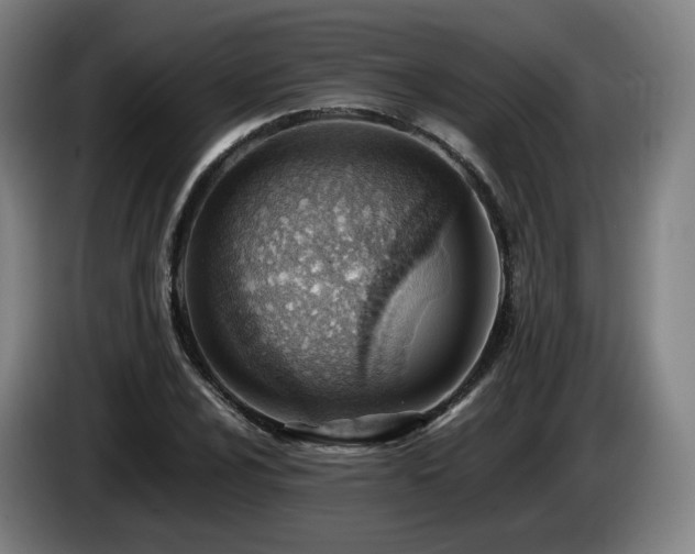 X0000085211024200703091134