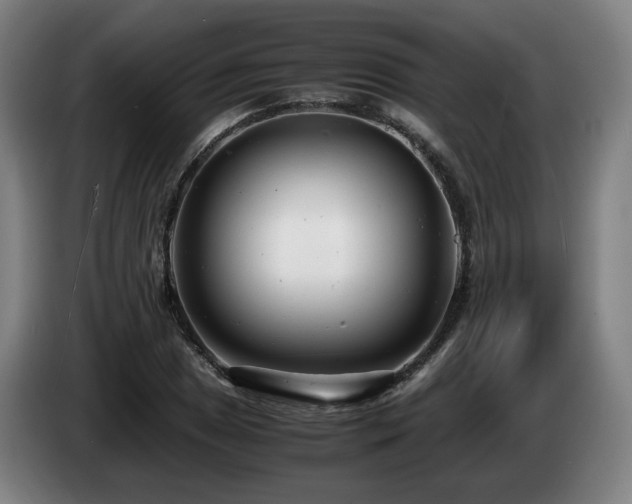 X0000085211025200703091134
