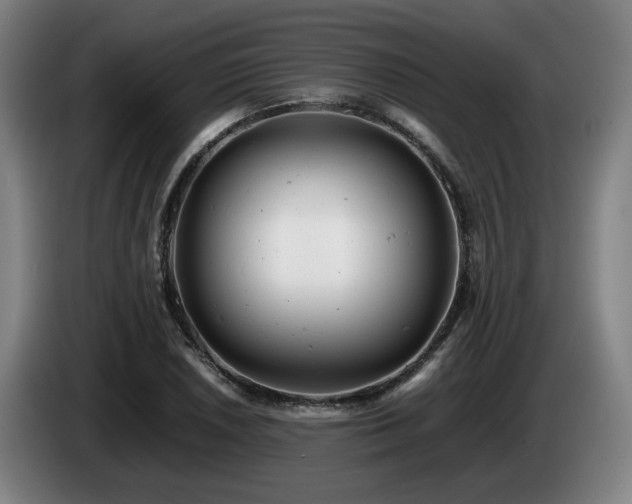 X0000085211026200703091134