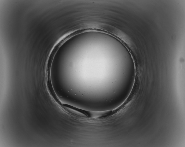 X0000085211028200703091134
