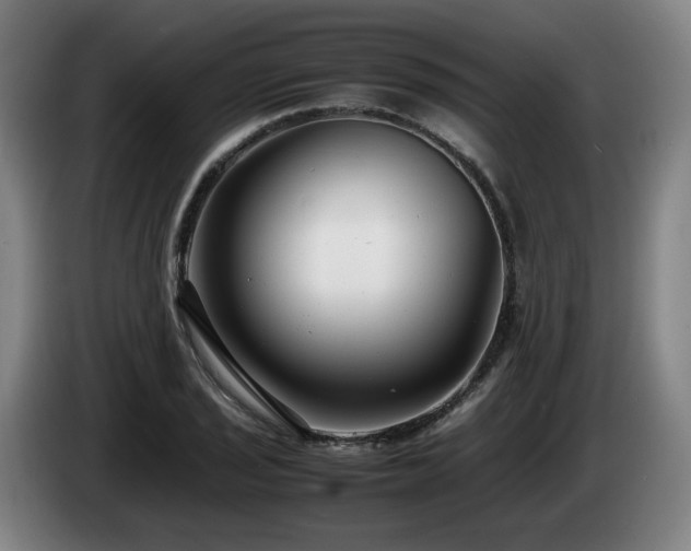 X0000085211029200703091134