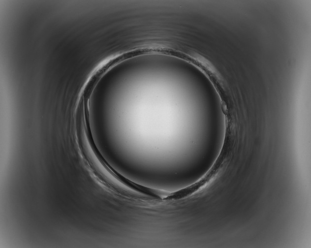 X0000085211030200703091134