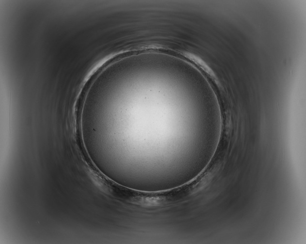 X0000085211031200703091134