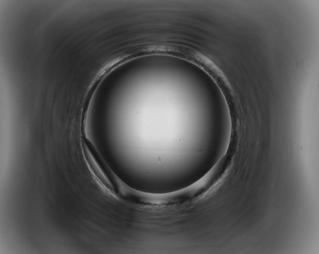 X0000085211033200703091134