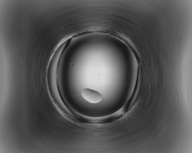 X0000085211034200703091134