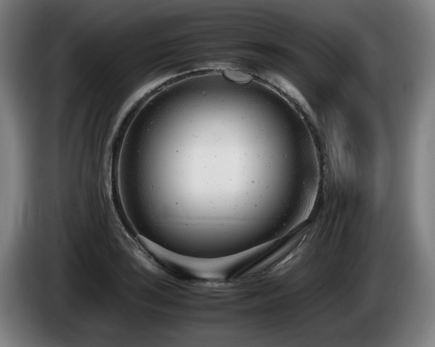 X0000085211035200703091134