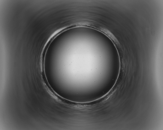 X0000085211036200703091134