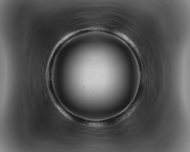 X0000085211037200703091134