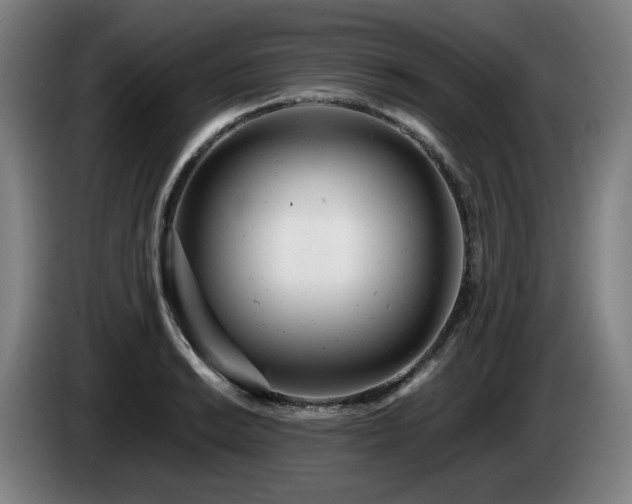 X0000085211038200703091134