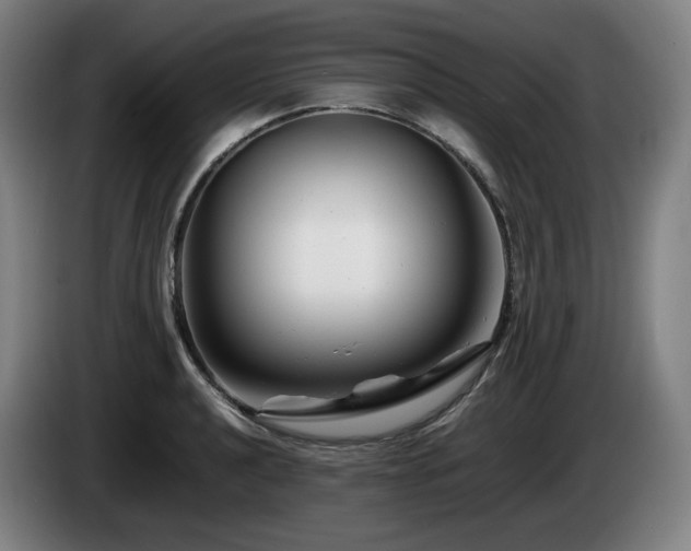 X0000085211040200703091134