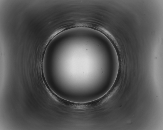 X0000085211041200703091134
