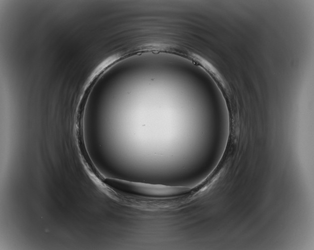 X0000085211042200703091134