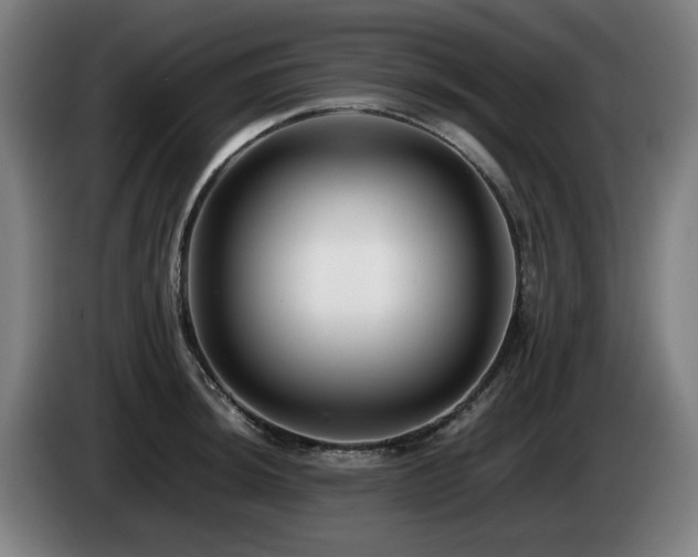 X0000085211044200703091134