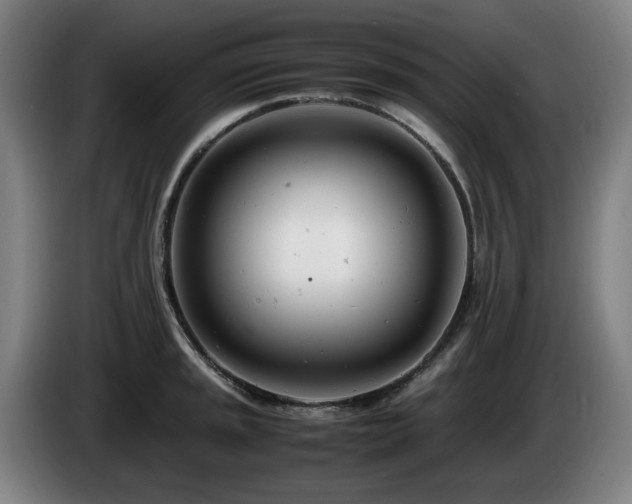 X0000085211045200703091134
